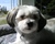 Jasper 1 020_tiny